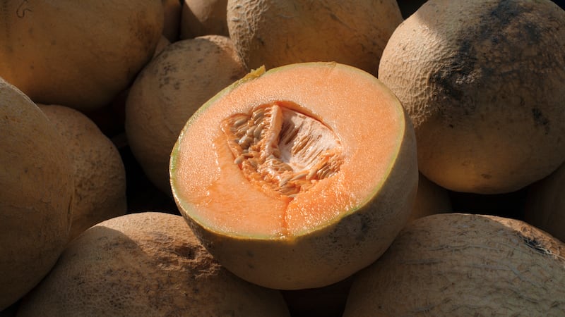FILE - Cantaloupes are displayed for sale in Virginia on Saturday, July 28, 2017. On Friday,...
