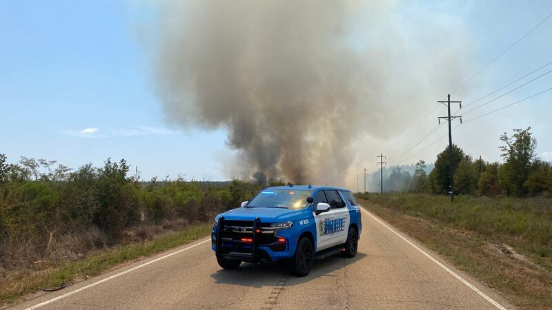 Livingston Parish fire