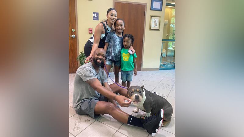 A dog has been reunited with its family after going missing for two years.