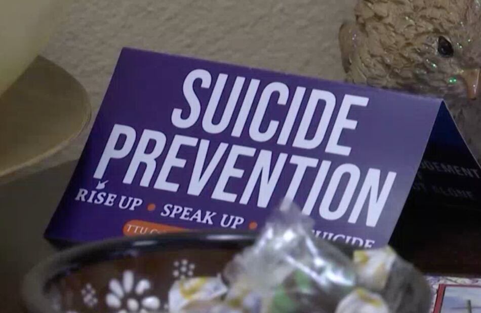 NEDHSA to host suicide first aid workshop - Vimarsana News